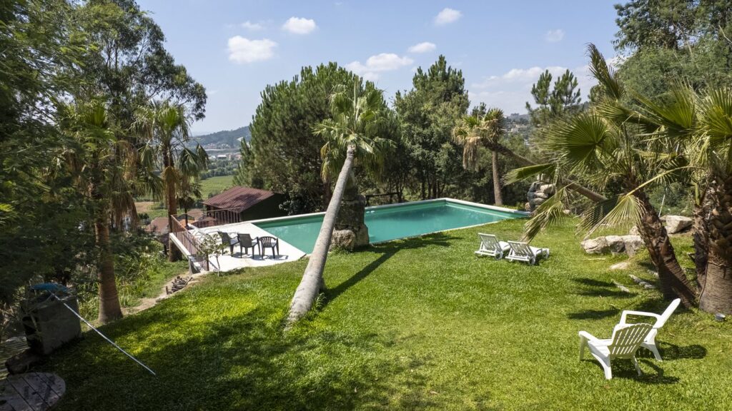 Piscina, relvado e palmeiras