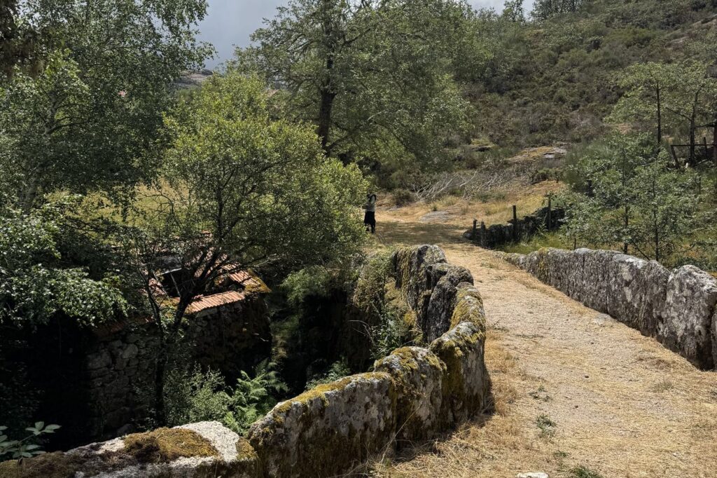 Ponte de granito com musgo e um caminho de terra entre as árvores