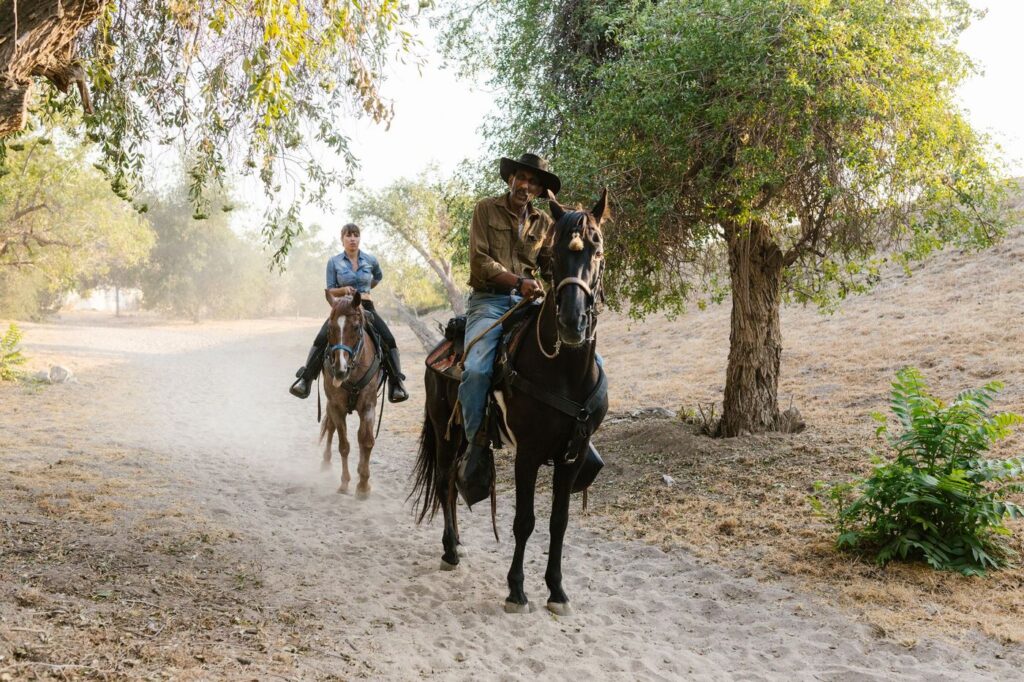 Duas pessoas a cavalo num caminho de terra entre árvores