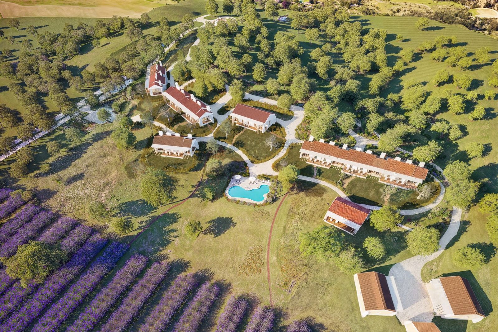 Imagem 3D do SóAres de Lavanda visto de cima, com o campo de lavanda à frente das casas